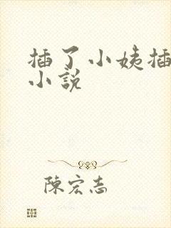 插了小姨插妈妈小说