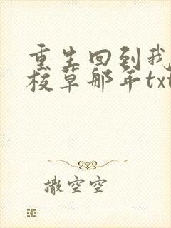 重生回到我爸当校草那年txt