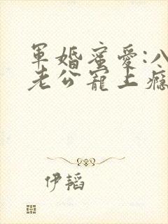 军婚蜜爱:八零老公宠上瘾大结局