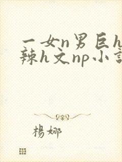 一女n男巨h高辣h文np小说