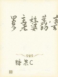 男主姓叶,有很多老婆的玄幻小说