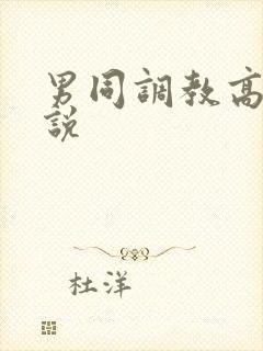 男同调教高h小说