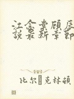 江念棠顾辰聿小说最新章节免费阅读