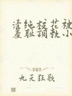 清纯校花被民工羞耻调教小说