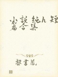 小说 纯h 短篇合集封面