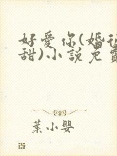 好爱你(婚后高甜)小说免费阅读