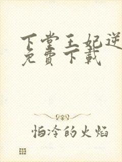 下堂王妃逆袭记免费下载