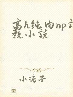 高h纯肉np调教小说