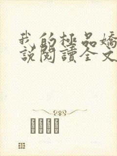 我的极品娇妻小说阅读全文