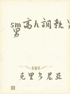 sm高h调教男男