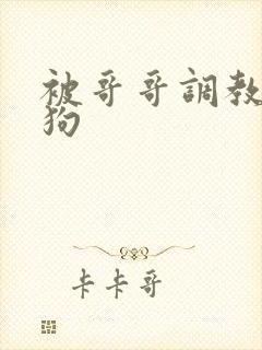 被哥哥调教成母狗