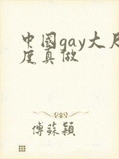 中国gay大尺度真做