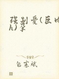 强制爱(巨肉高h)孕