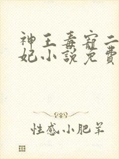 神王毒宠二嫁王妃小说免费阅读