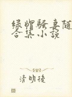 绿帽骚妻随便干合集小说