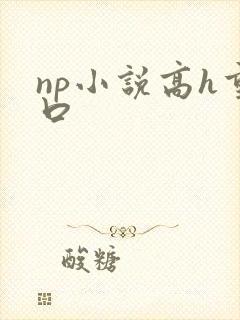 np小说高h重口