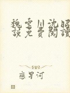 魏云川沈昭禾小说免费阅读笔趣阁