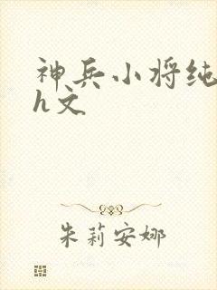 神兵小将纯肉高h文