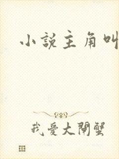 小说主角叫林易