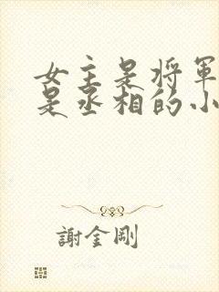 女主是将军男主是丞相的小说