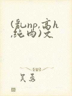 (乱np,高h,纯肉)文