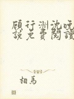 顾行洲沈晚宁小说免费阅读最新章节封面