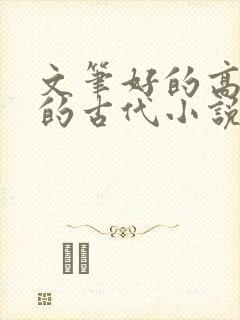 文笔好的高质量的古代小说言情封面