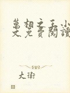 万相之王小说全文免费阅读无弹窗封面