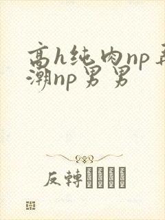 高h纯肉np弄潮np男男