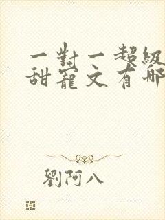 一对一超级肉的甜宠文有哪些