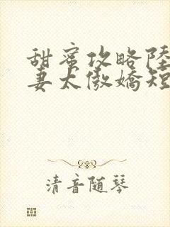 甜蜜攻略陆总前妻太傲娇短剧合集封面