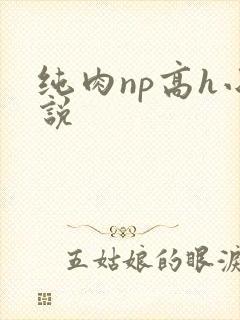 纯肉np高h小说