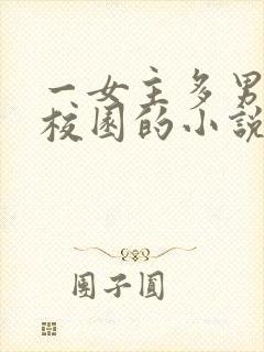 一女主多男主的校园的小说