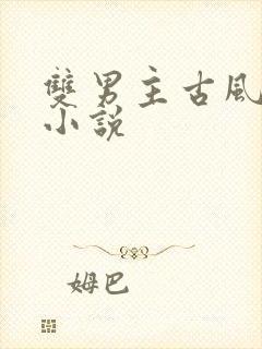 双男主古风玄幻小说封面