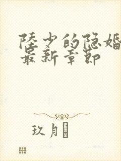 陆少的隐婚罪妻最新章节