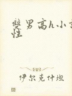 双男高h小说双性