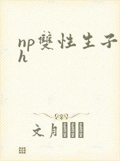 np双性生子高h封面