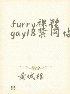furry裸体gay18禁网站