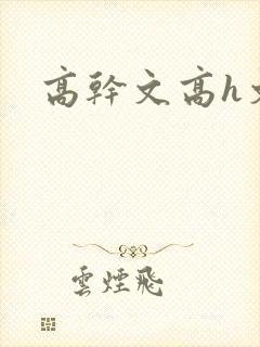 高干文高h文