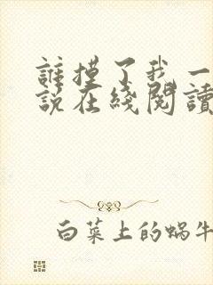 谁摸了我一下小说在线阅读封面