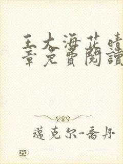 王大海芷晴30章免费阅读