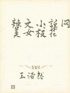 辣文小说网我和美女校花