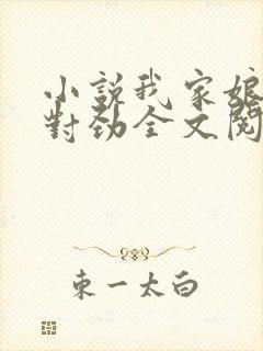 小说我家娘子不对劲全文阅读免费