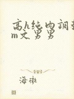 高h纯肉调教sm文男男