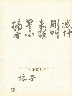 摘星未删减版原著小说叫什么