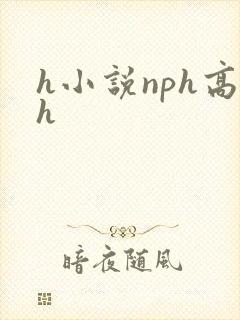 h小说nph高h