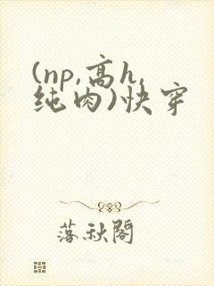 (np,高h,纯肉)快穿