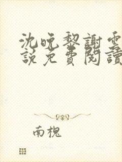 沈晚黎谢云迟小说免费阅读封面