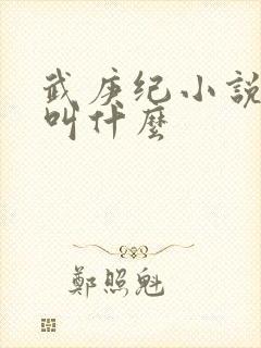 武庚纪小说原著叫什么封面