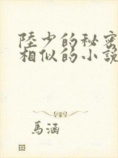 陆少的秘密恋人相似的小说